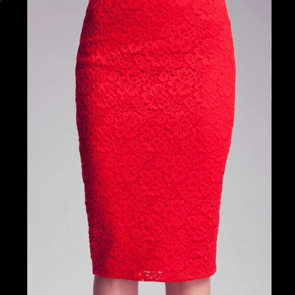 Bebe Lace Skirt